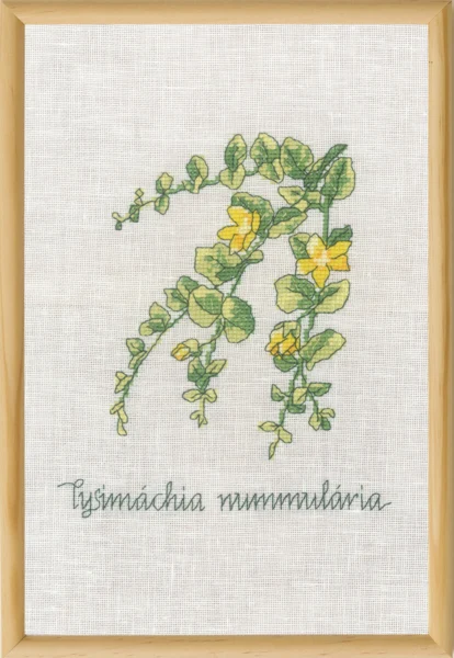 Broderikit Pengeblad R5799 20 x 30 cm