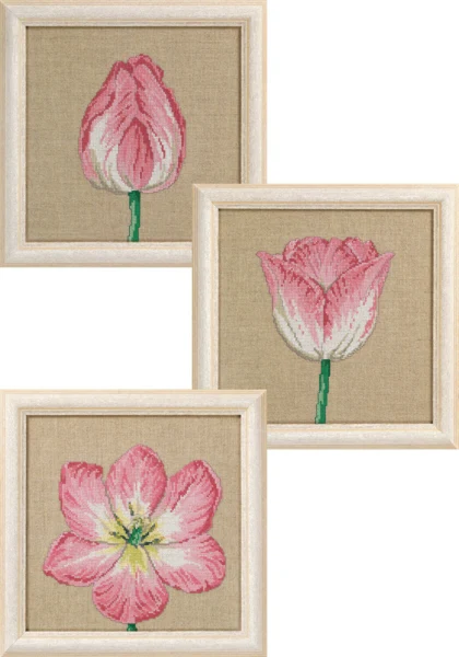 Broderikit Tulipaner i faser 3 x 25 x 25 cm