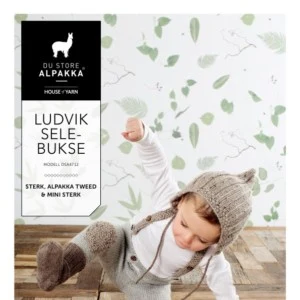 DSA47-12 LUDVIK SELEBUKSE