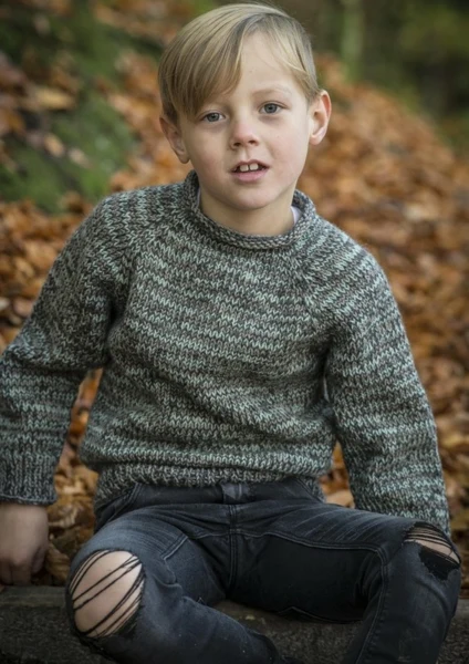 136-7 Meleret Drengetrøje