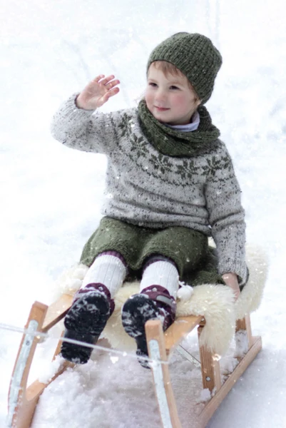 DSA73-07 STJERNEGENSER BARN NATUR
