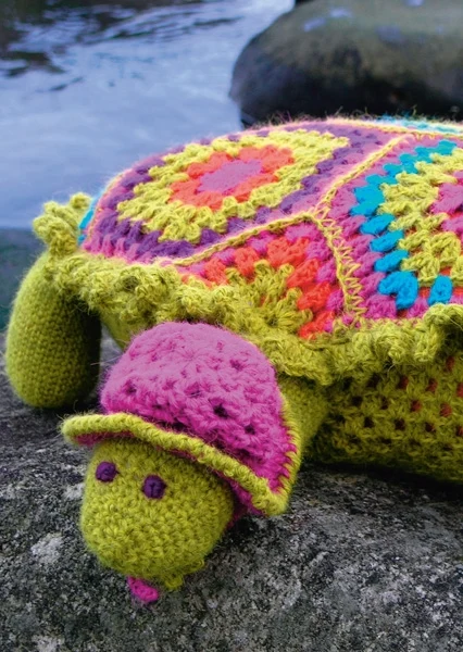 Søte Sara skilpadde