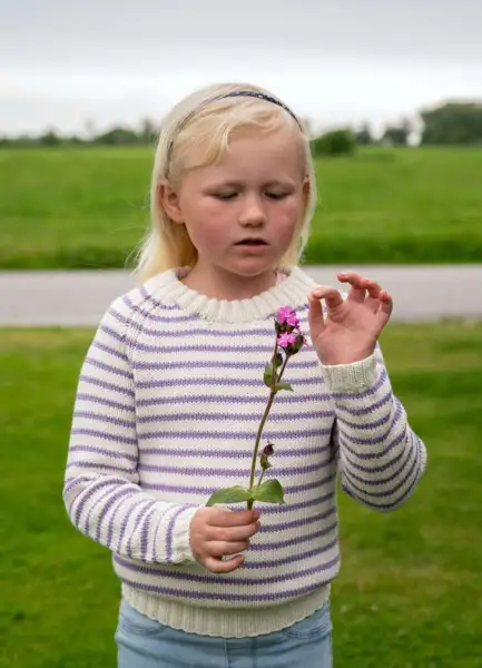 DG 437-17 YMRE GENSER