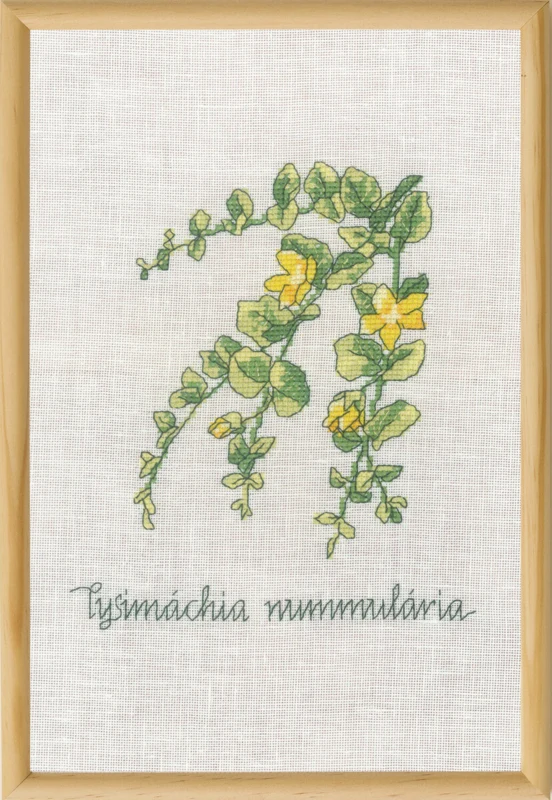 Broderikit Pengeblad R5799 20 x 30 cm