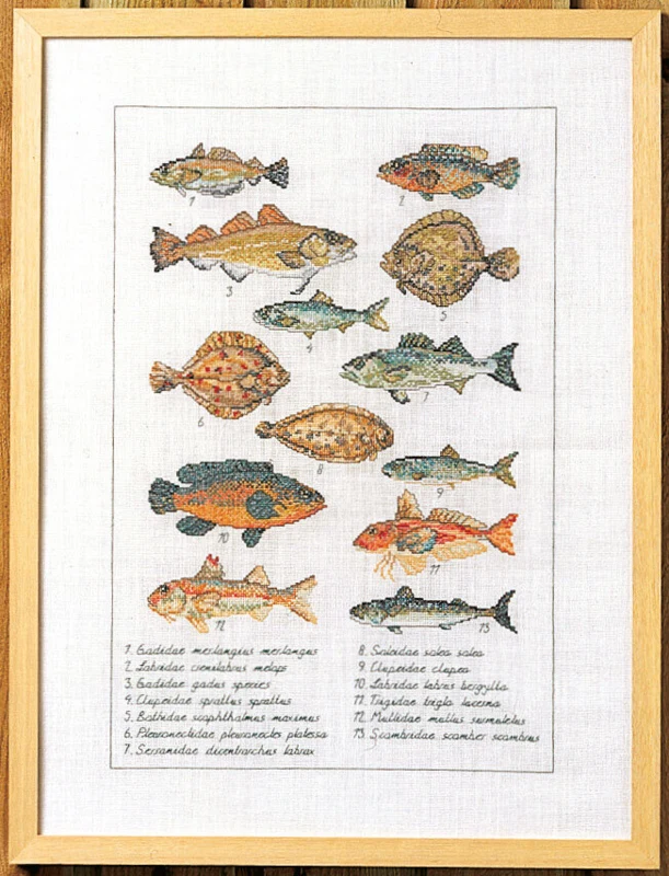 Broderikit Fisk 41 x 56 cm 5676