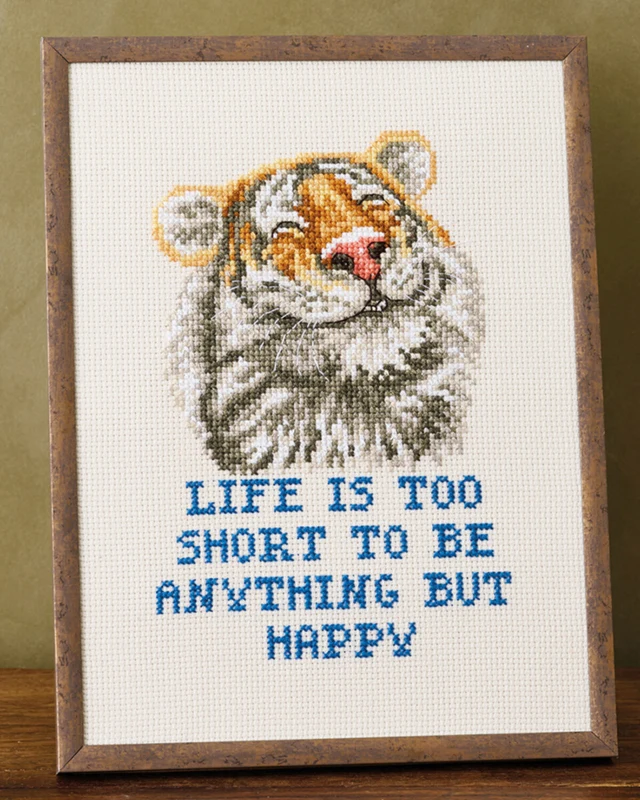 Broderikit Anything R5799 18 x 24 cm