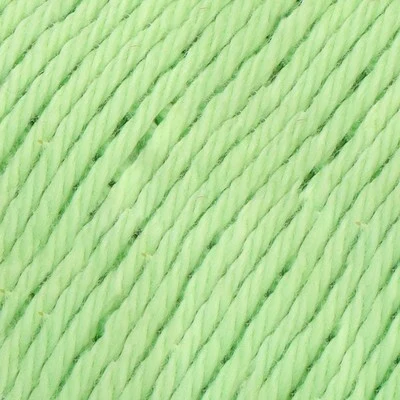 Must-have 8/4 081 Lettuce