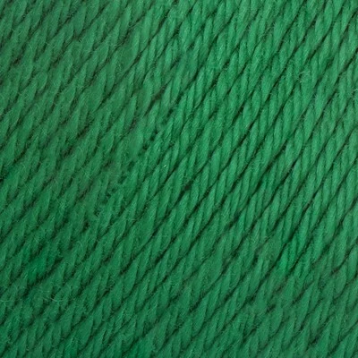 Must-have 8/4 087 Amazon