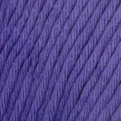 YAC Epic 8/8 057 Clematis