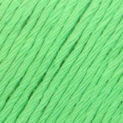 YAC Epic 8/8 085 Pesto