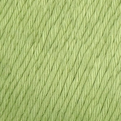 YAC Epic 8/8 123 Fern