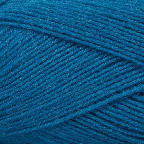 Mayflower 1 Class 23 Blå asters