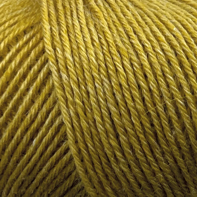 Onion Nettle Sock Yarn 1016 Karry