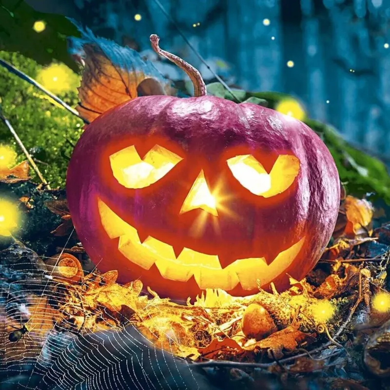 Servietter, Halloween, 33x33 cm, 20 stk. Græskar