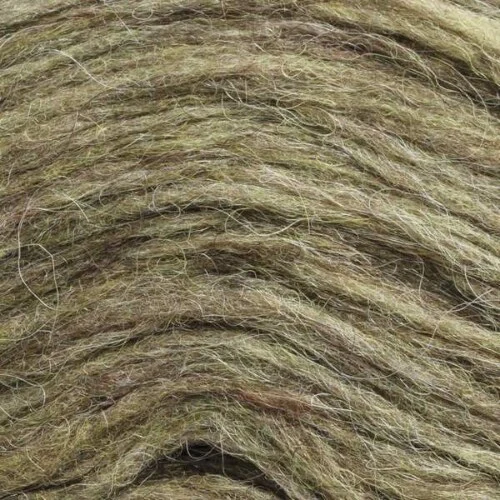 Ístex Plötulopi 1423 Light green