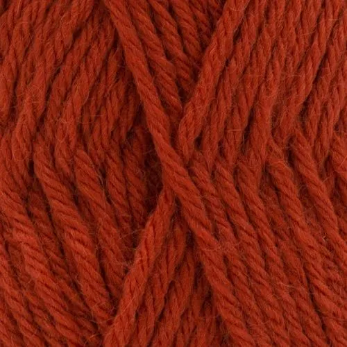 Phildar Partner 3,5 Græskar