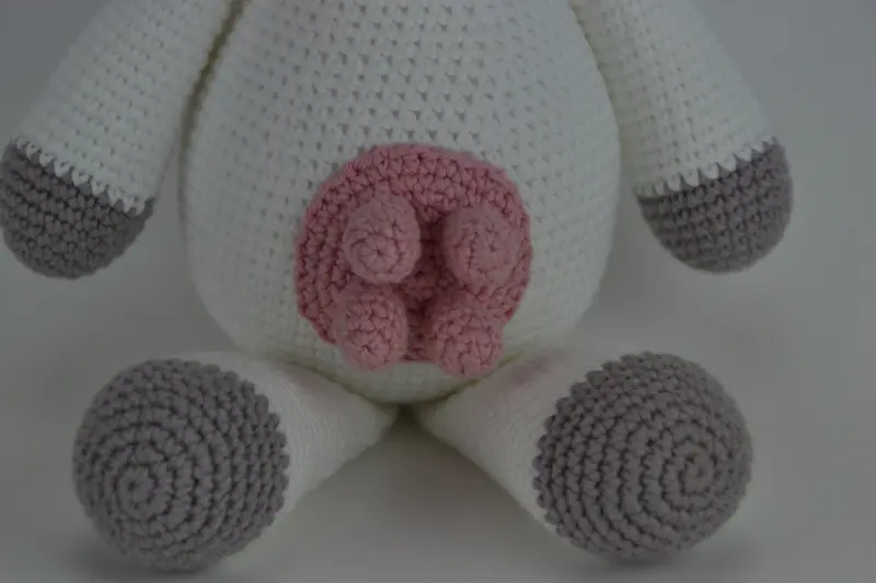 Ponyen Molly og Koen Daisy