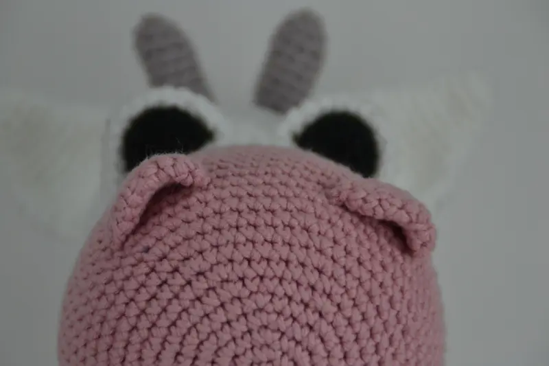 Ponyen Molly og Koen Daisy