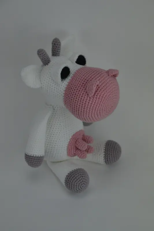 Ponyen Molly og Koen Daisy