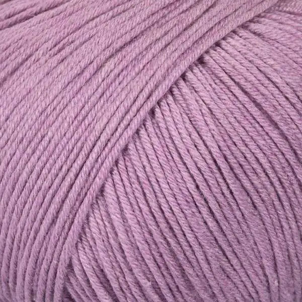 Mayflower Alliance Fine