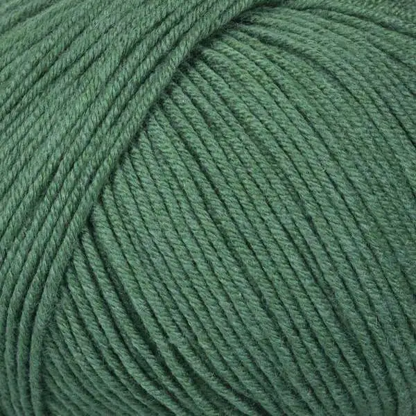 Mayflower Alliance Fine