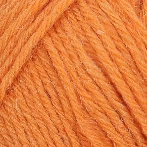 Regia 100 g 4-ply 01054 Kürbis
