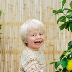 Magasin: DSA41 NORDIC SUMMER