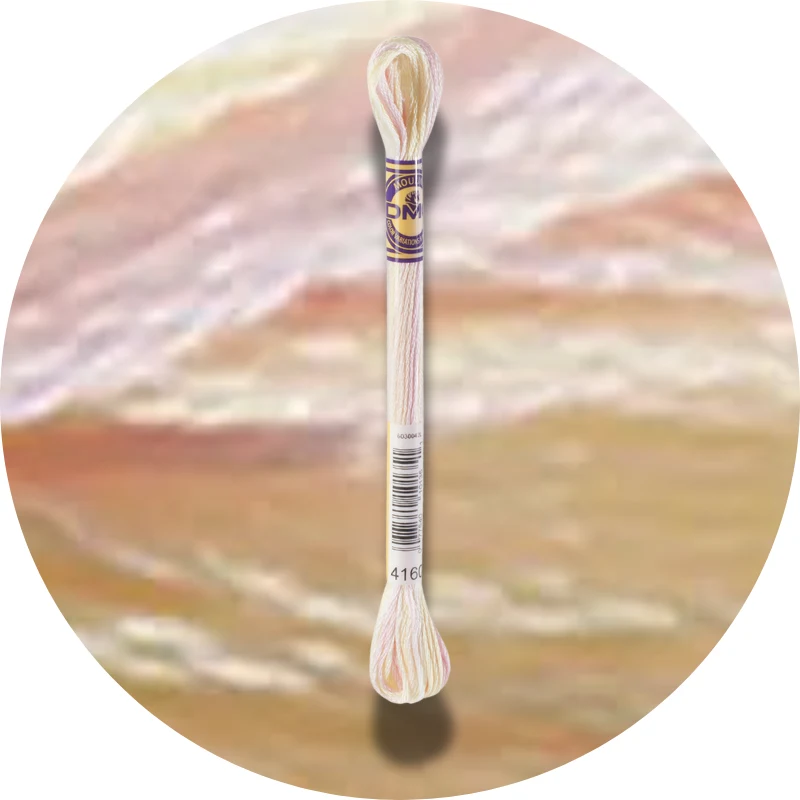 DMC Mouliné Color Variations Broderigarn 4160