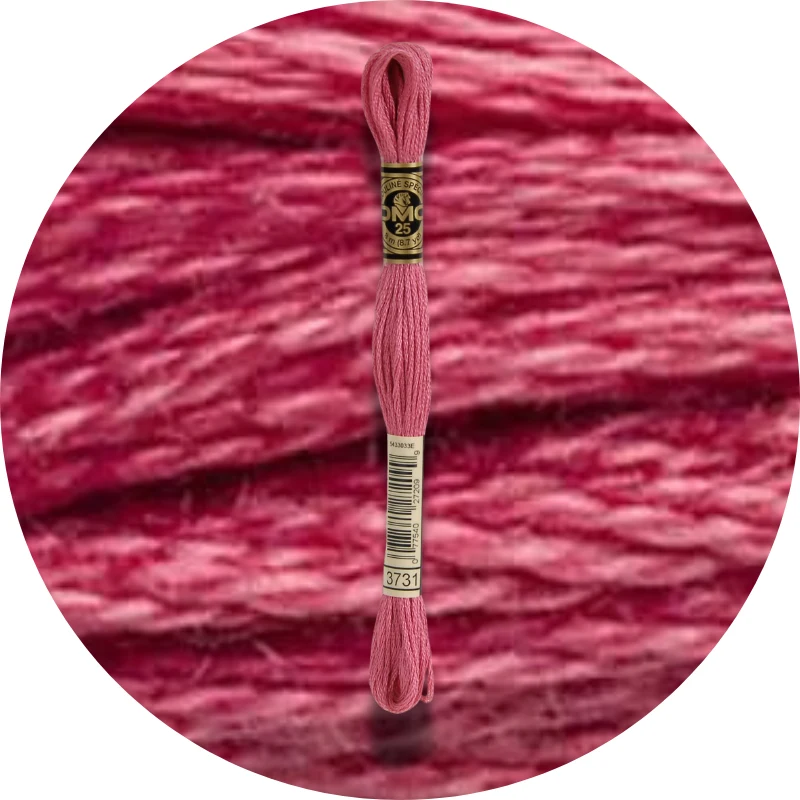 DMC Mouliné Spécial 25 Broderigarn 3731