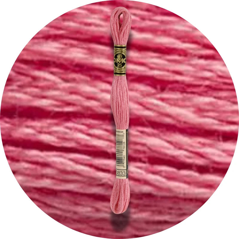 DMC Mouliné Spécial 25 Broderigarn 3833