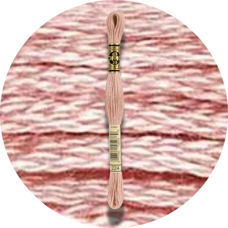 DMC Mouliné Spécial 25 Broderigarn 0224