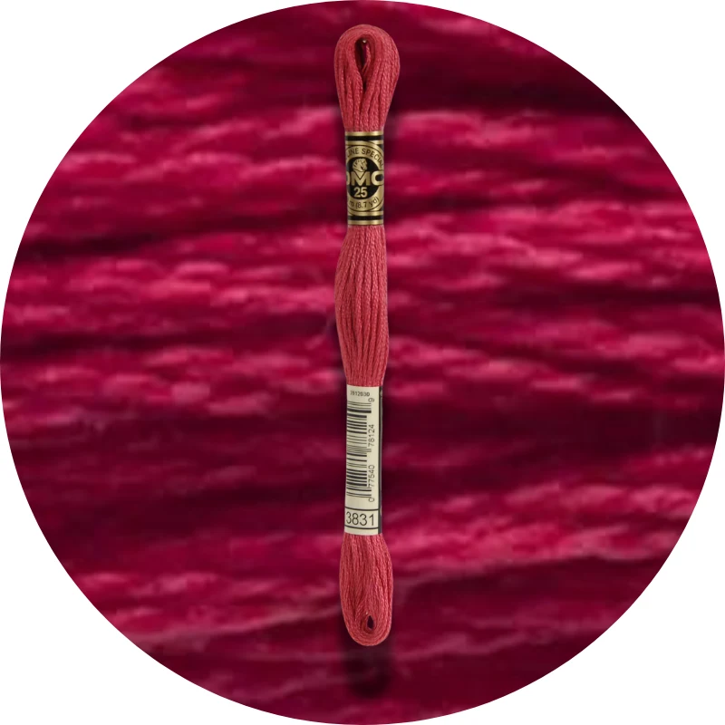 DMC Mouliné Spécial 25 Broderigarn 3831