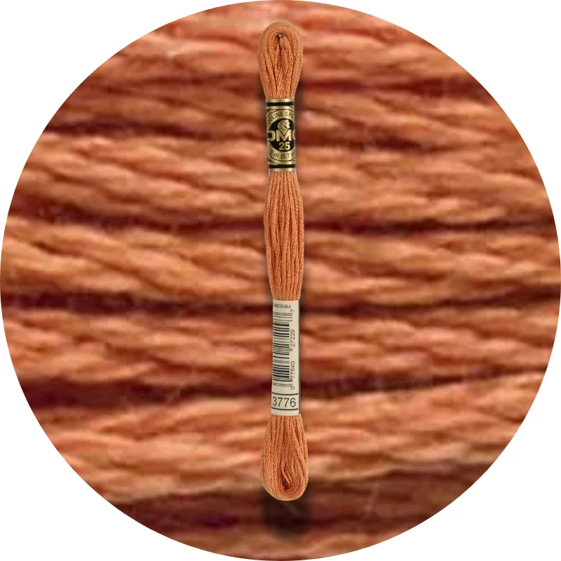 DMC Mouliné Spécial 25 Broderigarn 3776