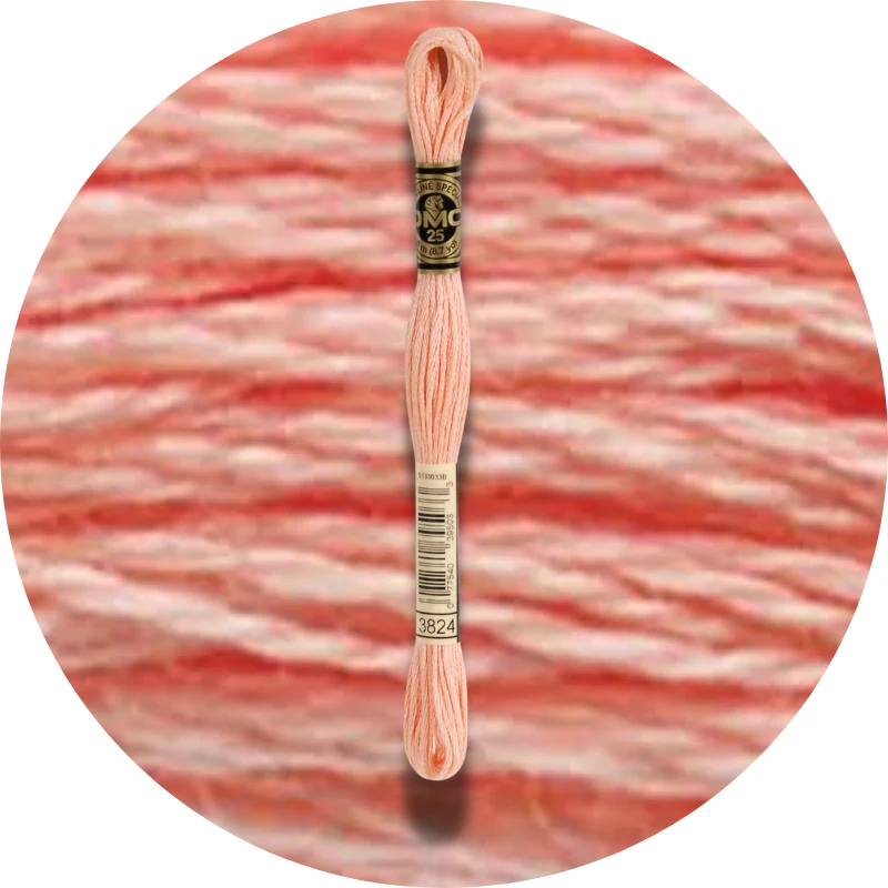 DMC Mouliné Spécial 25 Broderigarn 3824