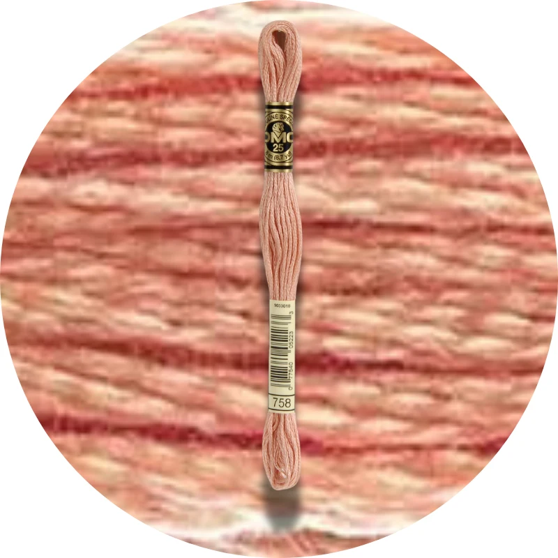 DMC Mouliné Spécial 25 Broderigarn 0758