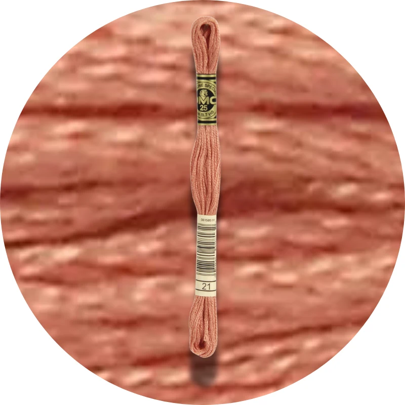 DMC Mouliné Spécial 25 Broderigarn 0021