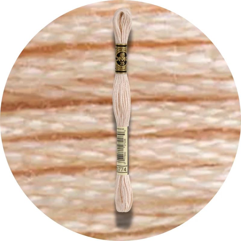 DMC Mouliné Spécial 25 Broderigarn 3774