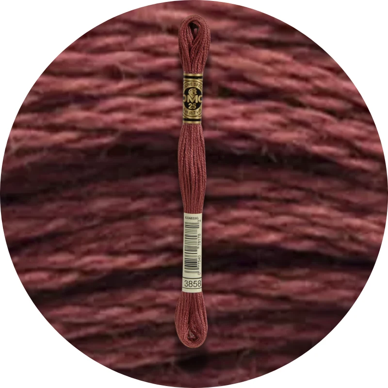 DMC Mouliné Spécial 25 Broderigarn 3858