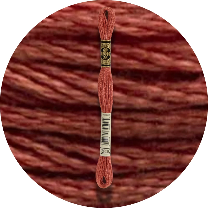 DMC Mouliné Spécial 25 Broderigarn 3830