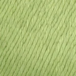 YAC Epic 8/8 123 Fern