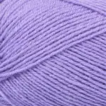 Mayflower 1 Class 8 Lupin