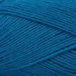 Mayflower 1 Class 23 Blå asters