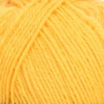 Mayflower 1 Class 21 Mandelolie