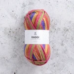 Järbo Raggi 100g 15254 Color Grading