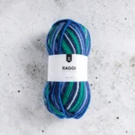 Järbo Raggi 100g 15210 Blue Anchor Lane
