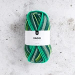 Järbo Raggi 100g 15212 Ivy Lane