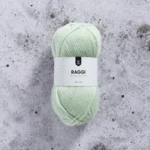 Järbo Raggi 100g 15173 Cloud Green Lounge