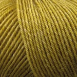 Onion Nettle Sock Yarn 1016 Karry