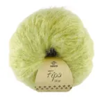 Navia Fípa 1583 Nilen