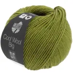 Lana Grossa Cool Wool Big 1021 Majgrøn